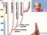 Biology: Alternation of Generations: Gymnosperms